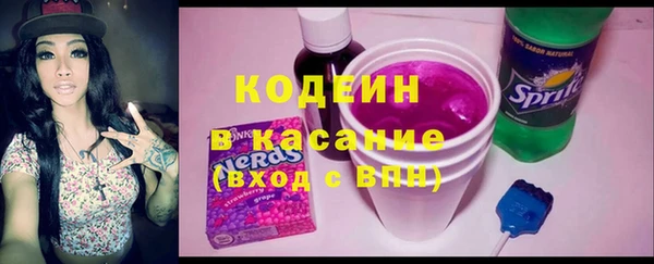 индика Краснотурьинск