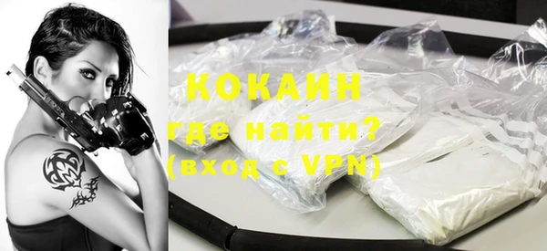твердый Козловка