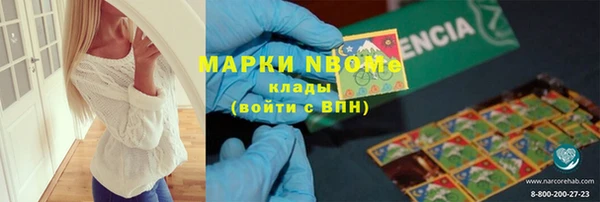 индика Воткинск