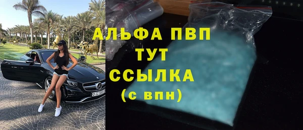 индика Краснотурьинск