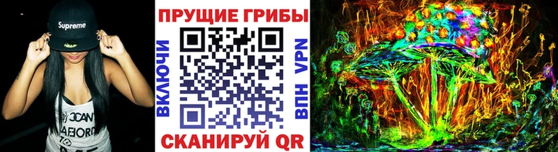 как найти закладки  Козловка  Псилоцибиновые грибы Psilocybine cubensis 
